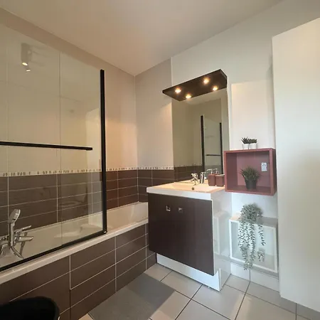 Stunning T2 Pool Box-meyzieu Gare-stade-eurexpo Apartment *